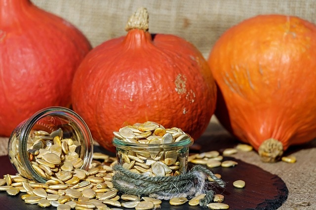 pumpkin seed oil carrier